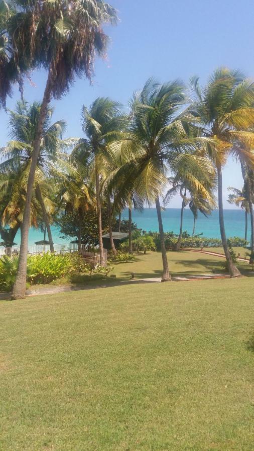 Studio En Bord De Mer - Residence La Vieille Tour لو جوسيير المظهر الخارجي الصورة