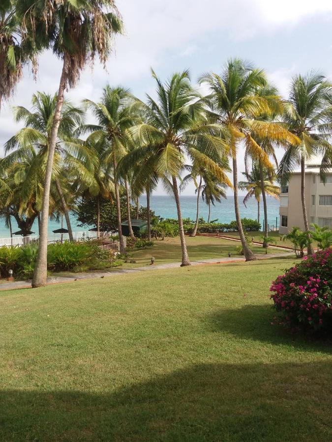 Studio En Bord De Mer - Residence La Vieille Tour لو جوسيير المظهر الخارجي الصورة